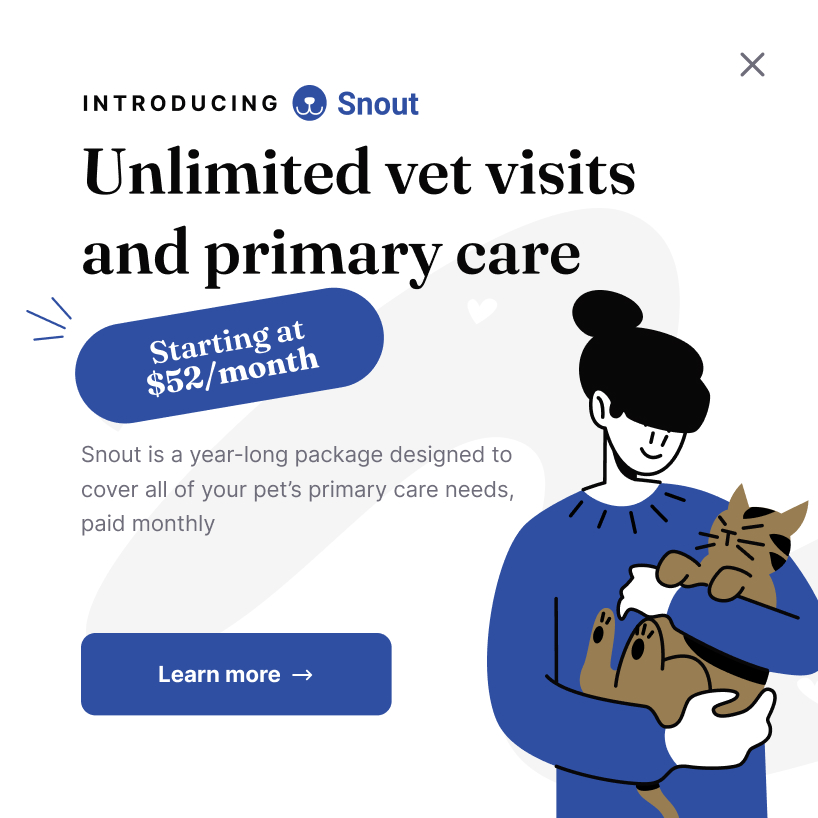 the link/URL of the website