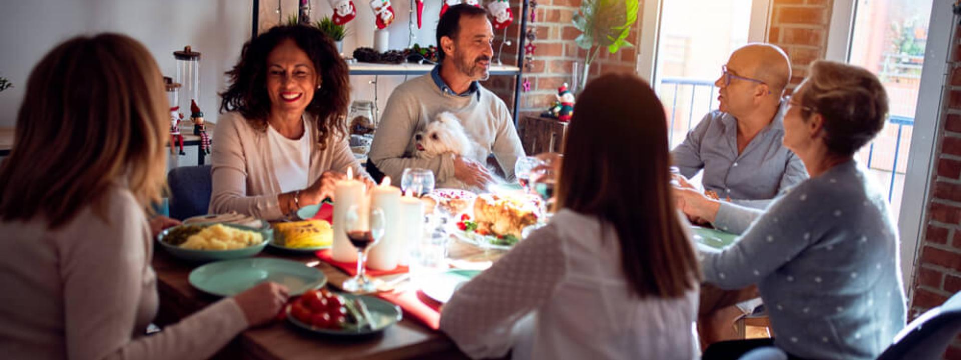 Holiday Safety Prep for Pets in cincinnati